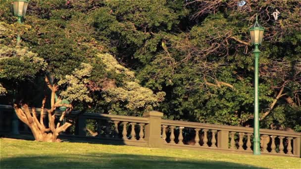 Plaza San Martin Retiro Buenos Aires — Stockvideo