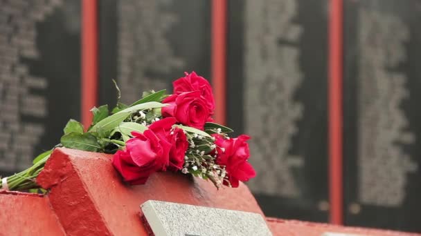 Fleurs Monument Pour Les Morts Dans Guerre Des Malouines Îles — Video