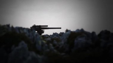 Falkland Adaları 'nın Rocky Sahili' ndeki eski İngiltere topu. British Qf 4 inçlik Mark IV deniz topu (Wwii), Falkland Adaları, Stanley Limanı yakınlarındaki Gypsy Cove kalıntıları.
