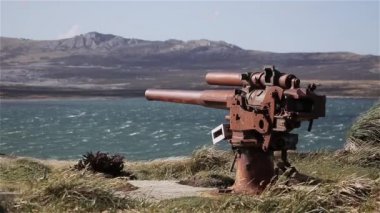 Falkland Adaları 'nın Rocky Sahili' ndeki eski İngiltere topu. British Qf 4 inçlik Mark IV deniz topu (Wwii), Falkland Adaları, Stanley Limanı yakınlarındaki Gypsy Cove kalıntıları.