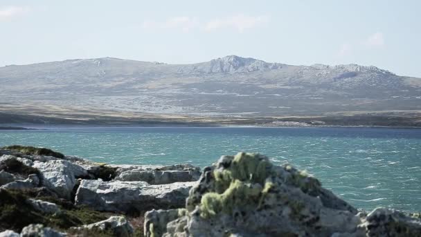 Вид Побережье Через Скалистый Берег Фолклендских Островах — стоковое видео