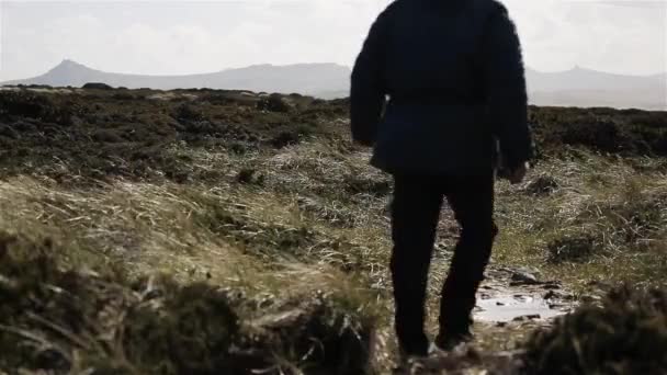 Lonely Man Walking Field Falkland Islands Sydatlanten — Stockvideo