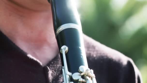 Musicista Che Suona Clarinetto Nel Parco Pubblico Primo Piano — Video Stock