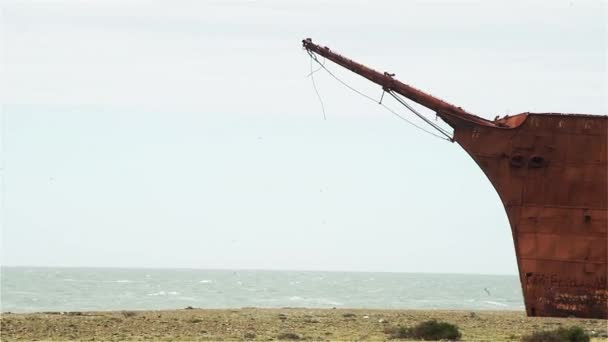 阿根廷圣克鲁斯省的沉船 侧视图 Pan Shot — 图库视频影像
