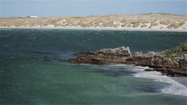 Kustutsikt Över Klippig Strand Falklandsöarna — Stockvideo