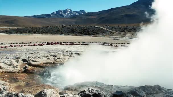 Geysers Del Tatio Nel Deserto Atacama Cile — Video Stock