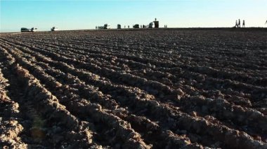 Ay Vadisi, Atacama Çölü, Şili 'de gezinti otobüsleri, Yürüyüşçülerle. 