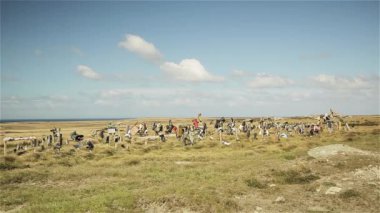 Falkland Adaları 'ndaki Boot Hill Port Stanley (Islas Malvinas). 