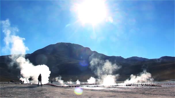 Tatio Geysers San Pedro Atacama Región Antofagasta Chile — Vídeos de Stock