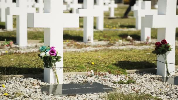 Arjantin Mezarlığı Cementerio Darwin Malvinas Darwin Doğu Falkland Falkland Adaları — Stok video