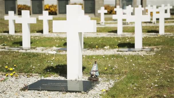 Arjantin Mezarlığı Cementerio Darwin Malvinas Darwin Doğu Falkland Falkland Adaları — Stok video