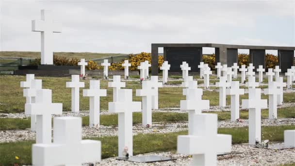 Argentinska Kyrkogården Cementerio Darwin Malvinas Darwin Östra Falklandsöarna Falklandsöarna Sydatlanten — Stockvideo