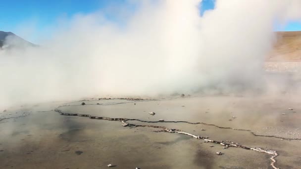 Campo Tatio Geyser Desierto Atacama Chile — Vídeo de stock