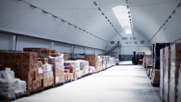 Chariots Élévateurs Flous Dans Entrepôt Logistique Affaires — Video