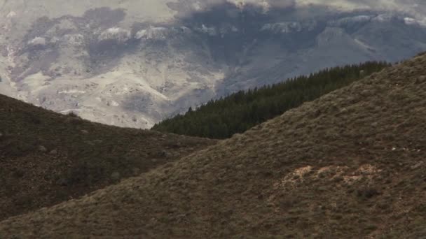 Пейзаж Патагонии Провинция Неукен Аргентина — стоковое видео