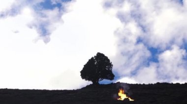 Bir ağacın yanındaki tepenin üzerinde yanan şenlik ateşi. Patagonya, Arjantin 'de çekildi..
