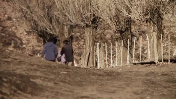 Мужчины Идущие Горной Тропе Возле Деревянного Забора Съёмки Проходили Патагонии — стоковое видео