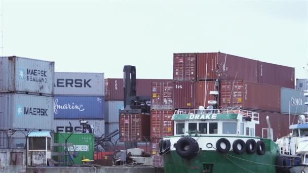 Crane Truck Порту Заряджання Розвантаження Контейнерів Зйомки Проходили Ушуайї Провінція — стокове відео