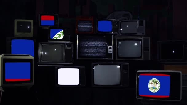 Bandera Belice Retro Televisores Tono Azul Oscuro — Vídeo de stock
