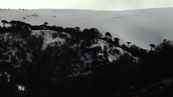 Snow Covered Mountain Top Nos Andes Patagônia Argentina América Sul — Vídeo de Stock