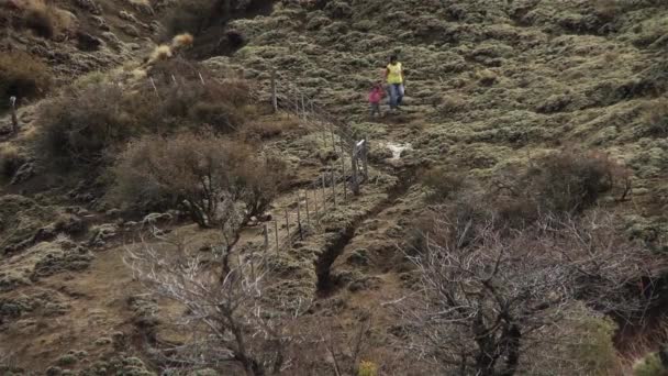 Mulher Andina Filha Caminhar Montanha Província Neuquen Argentina América Sul — Vídeo de Stock