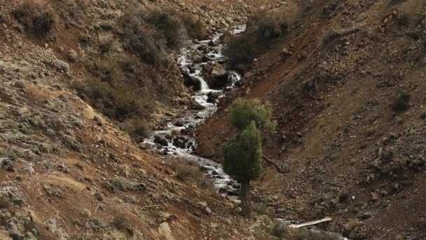 Corriente Glacial Los Andes Patagonia — Vídeos de Stock