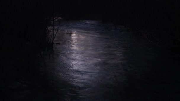 Ripples Surface Water Forest Stream Patagonia Night — Stock Video