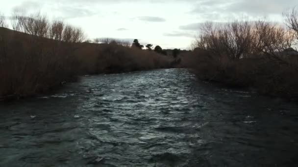 Água Montanha Limpa Fluindo Por Rio Pequeno Patagônia Argentina América — Vídeo de Stock