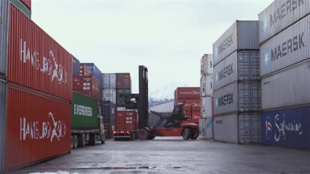 Ushuaia Tierra Del Fuego Argentina 2019 Containerterminal Med Kran Lasta — Stockvideo