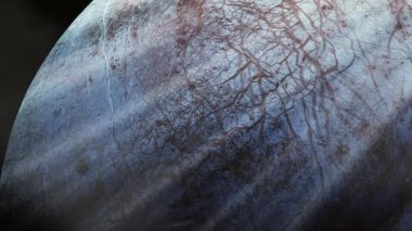 Jüpiter 'in yörüngesindeki dört Galile uydusundan en küçüğü olan Europa 1610 yılında Galileo Galilei tarafından keşfedilmiştir. NASA tarafından desteklenen bu videonun elementleri. 