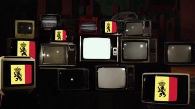 Belçika bayrağının eski televizyonlardaki arması.. 