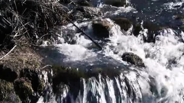 Bergstroom Patagonië Argentinië Zuid Amerika — Stockvideo