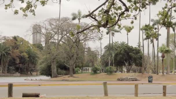 Parque Tres Febrero Ευρέως Γνωστό Boses Palermo Παλέρμο Γουντς Ένα — Αρχείο Βίντεο