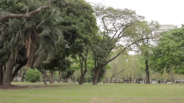 Parque Tres Febrero Popularmente Conhecido Como Bosques Palermo Palermo Woods — Vídeo de Stock