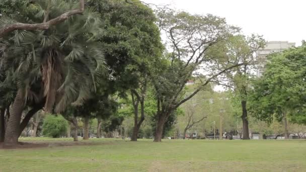 Parque Tres Febrero Közismert Nevén Bosques Palermo Palermo Woods Egy — Stock videók