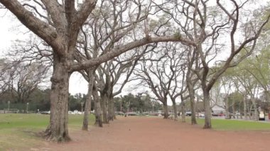 Parque Tres de Febrero 'da Sonbahar Ağaçları, halk arasında Bosques de Palermo (Palermo Ormanı) olarak bilinir, Arjantin' in Buenos Aires kentinde bir şehir parkı.. 