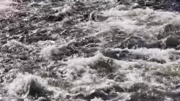 阿根廷巴塔哥尼亚的一条急流中的冰川水 — 图库视频影像
