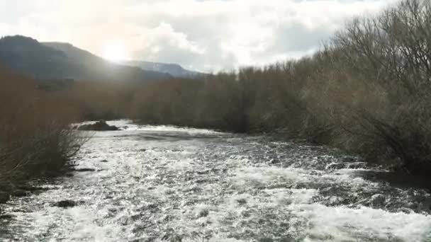 Παγωμένο Νερό Ρέει Ένα Ποτάμι Στην Παταγονία Της Αργεντινής Μεγέθυνση — Αρχείο Βίντεο