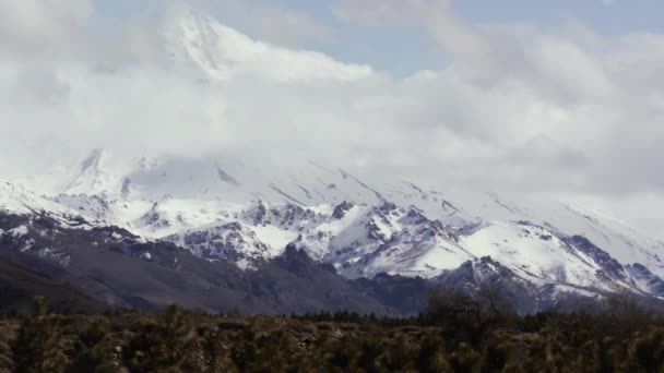 Lanin Volcano Patagonii Argentina — Stock video
