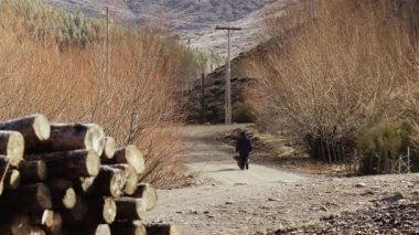 Dağlardaki bir toprak yolda, bir odun yığınının yanında bir el arabasıyla yürüyen adam.. 