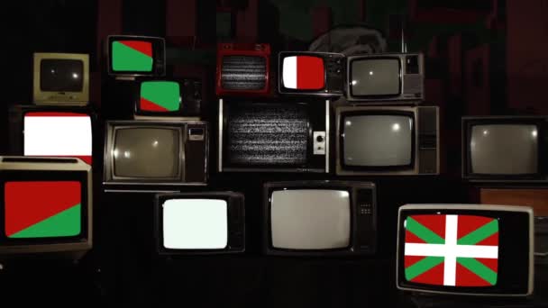 Ikurrina Flag Basco Vintage Televisions Ampliar — Vídeo de Stock