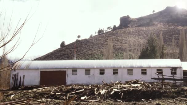 Patagonya Terk Edilmiş Bir Kereste Fabrikası Neuquen Arjantin Çekildi — Stok video