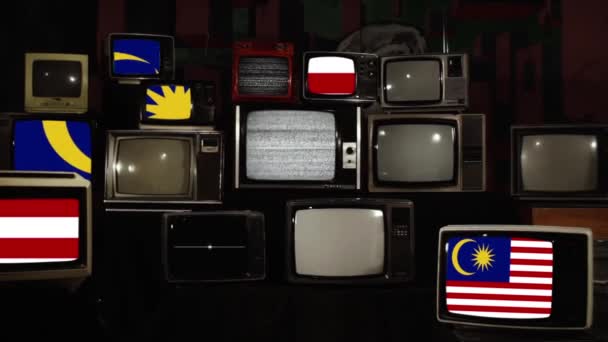 Flaga Malezji Retro Televisions Powiększ — Wideo stockowe