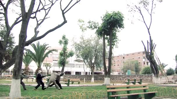 Paz Bolivia 2019 Lavoratori Comunali Tagliare Manualmente Tronco Albero Con — Video Stock