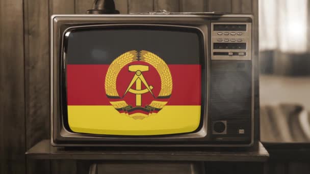 Drapeau République Démocratique Allemande Allemagne Est Sur Une Télévision Rétro — Video