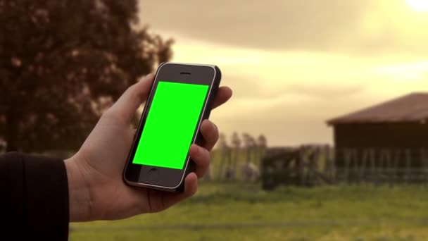 Main Homme Tenant Vieux Smartphone Dans Paysage Rural Vous Pouvez — Video