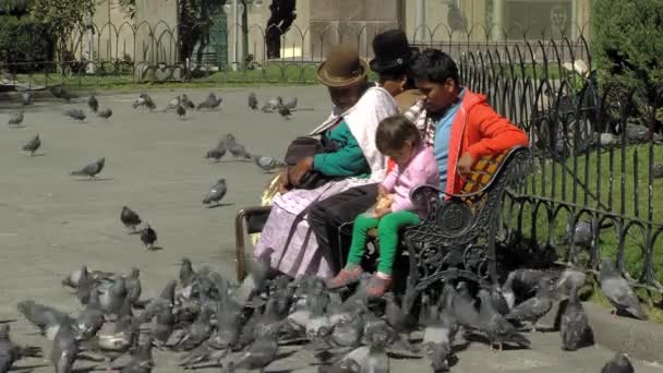 Paz Bolivia 2019 Boliviansk Familjesamling Runt Park Och Matduvor — Stockvideo