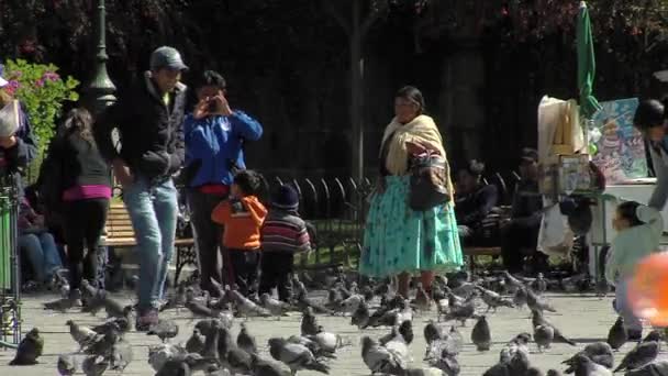 Paz Bolivia 2019 Una Famiglia Boliviana Intorno Piccioni Plaza Murillo — Video Stock