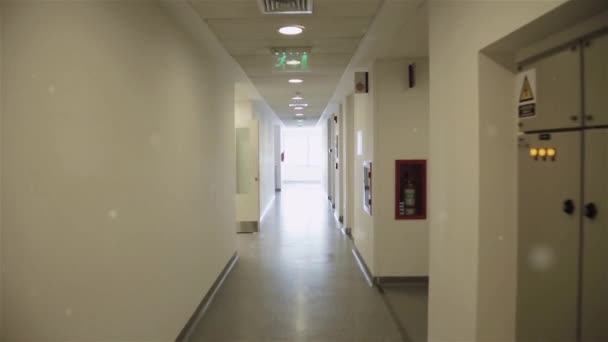 Long Corridor Interior Modern Office Building — Stock Video