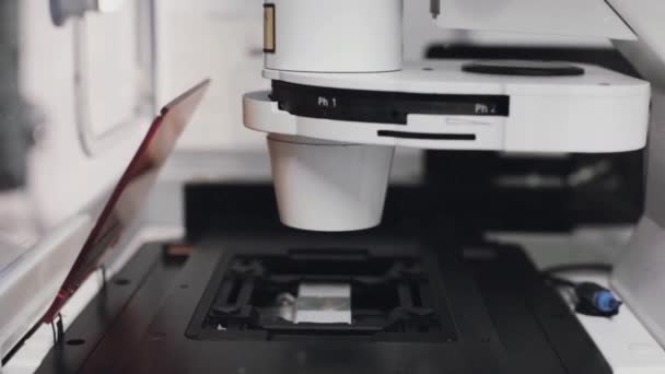 Microscópio Moderno Laboratório Close — Vídeo de Stock